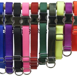 Nylon No-Slip Dog Collar - 1" Martingale