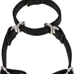 2 Way Adjustable Martingale Dog Collar - 5/8" - Nylon -Agility Shop 407062 5 full 40079.1638911341