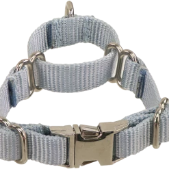 2 Way Adjustable Martingale Dog Collar - 5/8" - Nylon -Agility Shop 407062 9 full 01127.1638911347