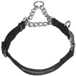 Martingale Training Dog Collar