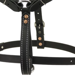 Padded Leather Harness W/ Sheepskin Lining -Agility Shop 407080 8 full 48432.1638911339