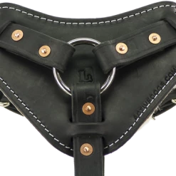 Padded Leather Harness W/ Sheepskin Lining -Agility Shop 407080 9 full 80154.1638911349