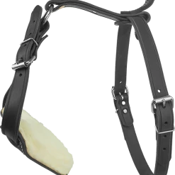 Padded Leather Harness W/ Sheepskin Lining -Agility Shop 407080a full 56073.1638911353