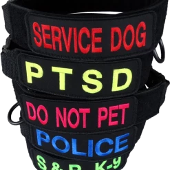 Custom ID Patch Dog Collar