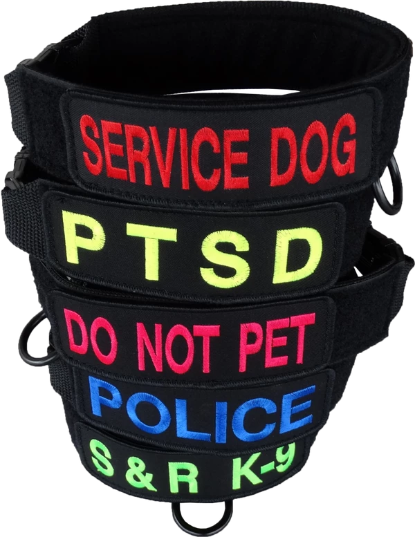 Custom ID Patch Dog Collar 1 Custom ID Patch Dog Collar