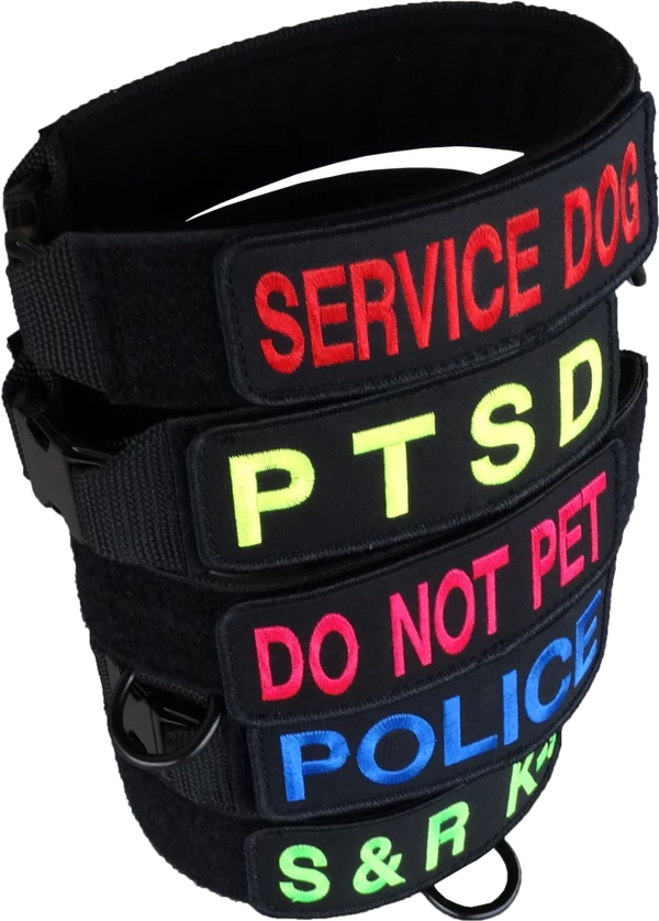 Custom ID Patch Dog Collar 3 Custom ID Patch Dog Collar - Image 3