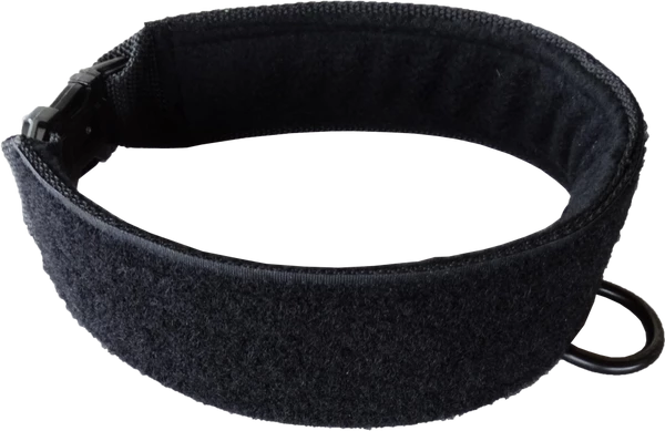 Custom ID Patch Dog Collar 7 Custom ID Patch Dog Collar - Image 7