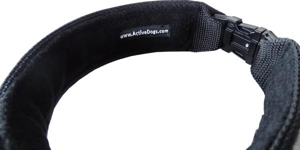 Custom ID Patch Dog Collar 9 Custom ID Patch Dog Collar - Image 9