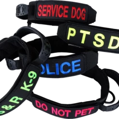Custom ID Patch Dog Collar With Handle -Agility Shop 407082 2 full 14545.1651489827