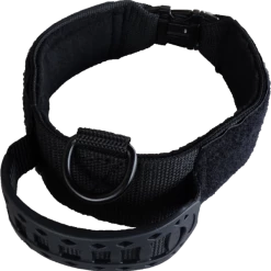 Custom ID Patch Dog Collar With Handle -Agility Shop 407082 6 full 46701.1651489827