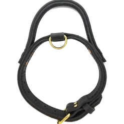 Leather Agitation Dog Collar With Handle