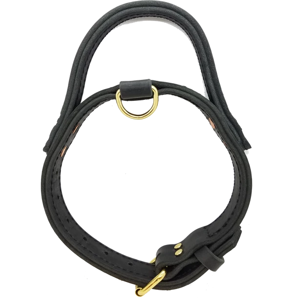 Leather Agitation Dog Collar With Handle 1 Leather Agitation Dog Collar With Handle