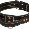 Leather Dog Collar With Handle 2"