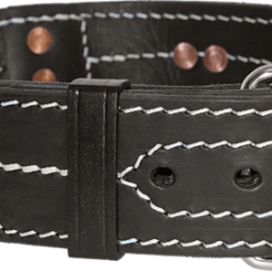 Leather Dog Collar With Handle 2" -Agility Shop 407088 3 full 71356.1664386296