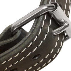 Leather Dog Collar With Handle 2" -Agility Shop 407088 6 full 29859.1664386298