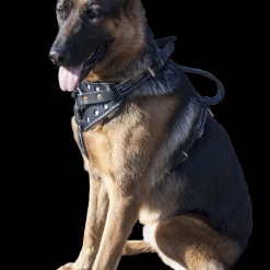 Reflective Sheepskin-Lined Leather Dog Harness -Agility Shop 40708REF 10 full 20635.1638911421