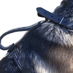 Reflective Sheepskin-Lined Leather Dog Harness -Agility Shop 40708REF 11 full 67472.1638911424