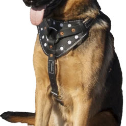 Reflective Sheepskin-Lined Leather Dog Harness -Agility Shop 40708REF 8 full 68592.1638911413