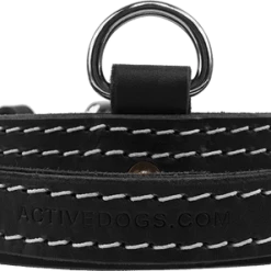 Leather Collar With Flat Handle 2" -Agility Shop 407090 1 full 57794.1638911439