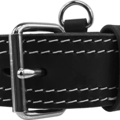 Leather Collar With Flat Handle 2" -Agility Shop 407090 2 full 50883.1638911441