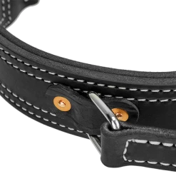 Leather Collar With Flat Handle 2" -Agility Shop 407090BR full 05382.1638911443