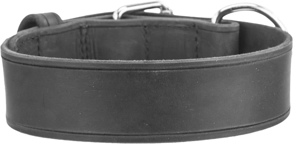 Leather Agitation Dog Collar 2" 3 Leather Agitation Dog Collar 2" - Image 3