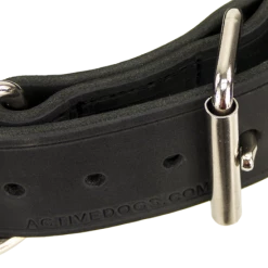 Leather Agitation Dog Collar 2" 12 Leather Agitation Dog Collar 2" -Agility Shop 4070911 4 full 92289.1638911489