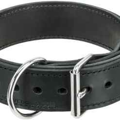 Leather Agitation Dog Collar 2" 15 Leather Agitation Dog Collar 2" -Agility Shop 4070912 2 full 17426.1638911493