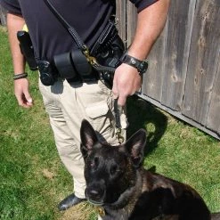 Hands Free Leather Dog Leash 6' -Agility Shop 407501 4 full 30643.1638911387