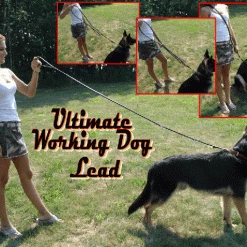 Ultimate Leather Hands Free Dog Leash 6' -Agility Shop 407503AD4 22675.1638911424