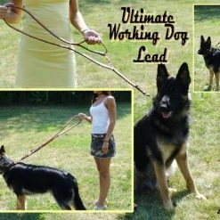 Ultimate Leather Hands Free Dog Leash 6' -Agility Shop 407503AD6 30797.1638911410
