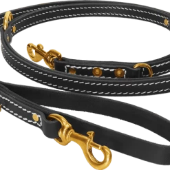 Ultimate Leather Hands Free Dog Leash 6'