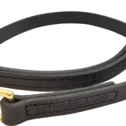 Military Spec Leather Dog Leash 3/4"