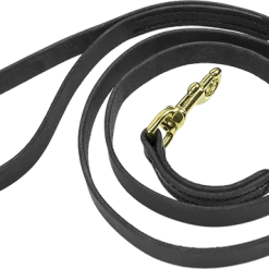 Military Spec Leather Dog Leash 3/4" 10 Military Spec Leather Dog Leash 3/4" -Agility Shop 408174BK 1 full 26182.1638911417