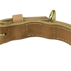 CaliberDog Leather Dog Collar 1.5" -Agility Shop 424242 3 full 64929.1638911434