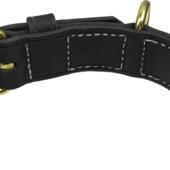 CaliberDog Leather Dog Collar 1.5" -Agility Shop 424242 4 full 40210.1638911435