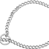 Herm Sprenger 2.5mm Medium Chrome Twisted Choke Chain