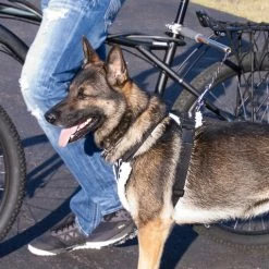 WalkyDog Plus - Stainless Steel -Agility Shop 5001002 10 full 82048.1638911444