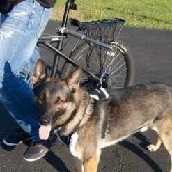 WalkyDog Plus - Stainless Steel -Agility Shop 5001002 8 full 90808.1638911456