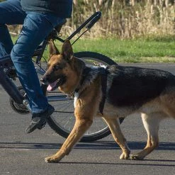 Hundcycler Padded Dog Harness -Agility Shop 500100H 7 full 63820.1638911383