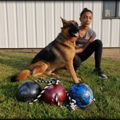 Muscle Building & Exercise Dog Ball W/ Rope -Agility Shop 507050 22 full 51425.1638911389