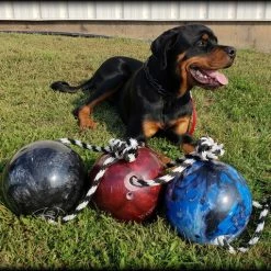 Muscle Building & Exercise Dog Ball W/ Rope -Agility Shop 507050 27 full 11481.1638911402