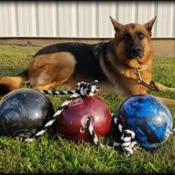 Muscle Building & Exercise Dog Ball W/ Rope -Agility Shop 507050 30 full 91210.1638911390