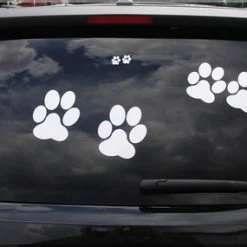 Vinyl Paw Print Decal Deluxe Package -Agility Shop 509200 2 full 66607.1638911359