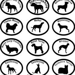 Dog Breed Specific Decals -Agility Shop 509230 121 132 full 70966.1638911364