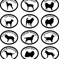 Dog Breed Specific Decals -Agility Shop 509230 73 84 full 49986.1638911368