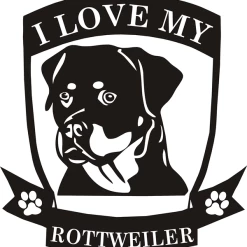 8x11 Dog Breed Specific Decals -Agility Shop 509231 3 full 09551.1638911426