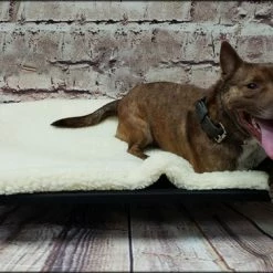 Raised Dog Bed Double Layer Hi-loft Sherpa Pad -Agility Shop 6020705 6 full 59627.1638911506