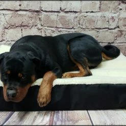 Raised Dog Bed Hi-loft Sherpa Slip Cover 8 Raised Dog Bed Hi-loft Sherpa Slip Cover -Agility Shop 6020706 3 full 55058.1638911516