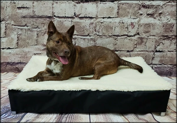 Raised Dog Bed Hi-loft Sherpa Slip Cover 6 Raised Dog Bed Hi-loft Sherpa Slip Cover - Image 6